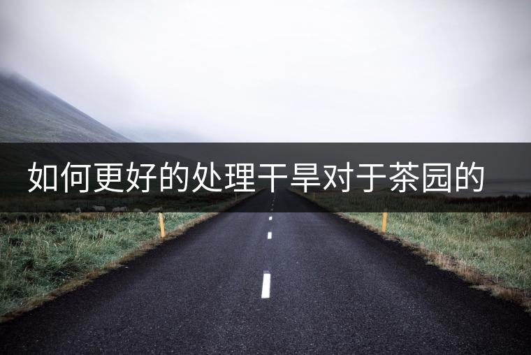 如何更好的處理干旱對于茶園的影響? 如何更好的處理干旱對于茶園的影響?