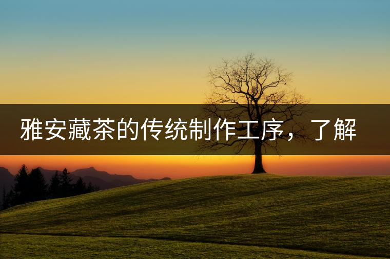 雅安藏茶的傳統制作工序，了解了傳統技藝才能更好的了解茶品！