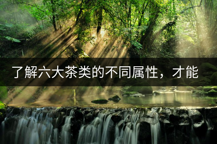 了解六大茶類的不同屬性，才能更好的選擇品飲！