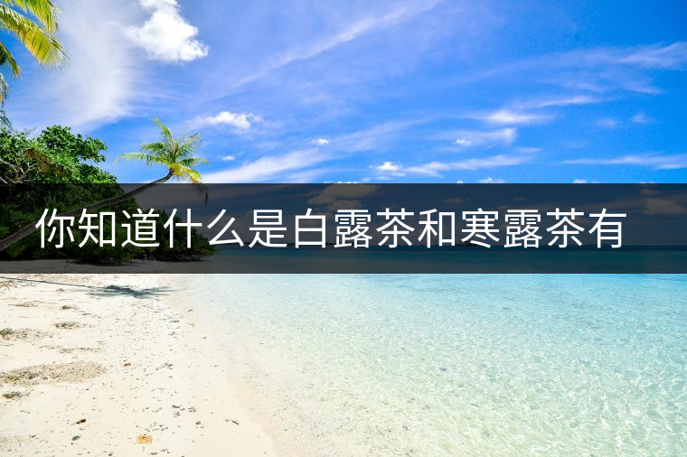 你知道什么是白露茶和寒露茶有區(qū)別嗎？