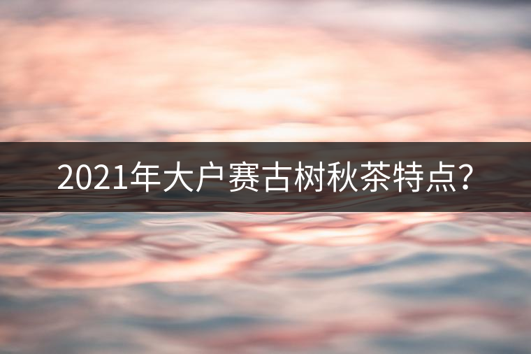 2021年大戶賽古樹秋茶特點? 2021年大戶賽古樹秋茶特點?