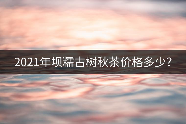 2021年壩糯古樹秋茶價格多少? 2021年壩糯古樹秋茶價格多少?