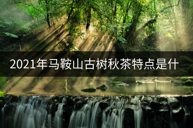 2021年馬鞍山古樹秋茶特點(diǎn)是什么? 2021年馬鞍山古樹秋茶特點(diǎn)是什么?