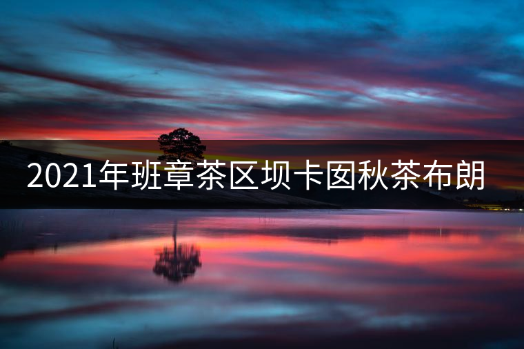 2021年班章茶區(qū)壩卡囡秋茶布朗茶系中的甜茶類! 2021年班章茶區(qū)壩卡囡秋茶布朗茶系中的甜茶類!