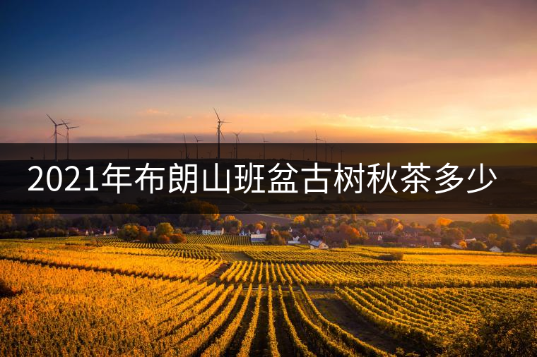 2021年布朗山班盆古樹秋茶多少錢一公斤? 2021年布朗山班盆古樹秋茶多少錢一公斤?