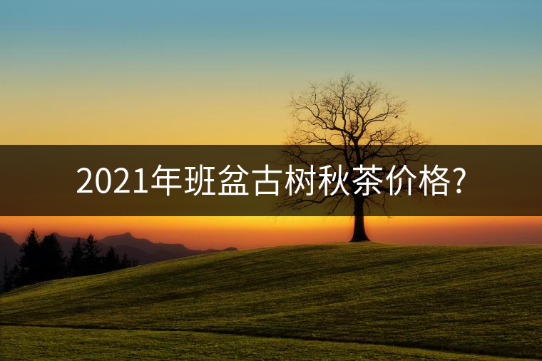 2021年班盆古樹秋茶價(jià)格? 2021年班盆古樹秋茶價(jià)格?