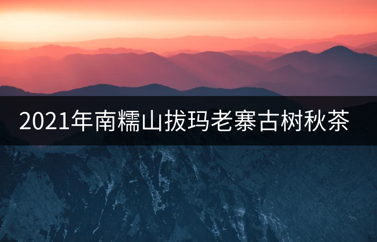 2021年南糯山拔瑪老寨古樹秋茶價(jià)格？