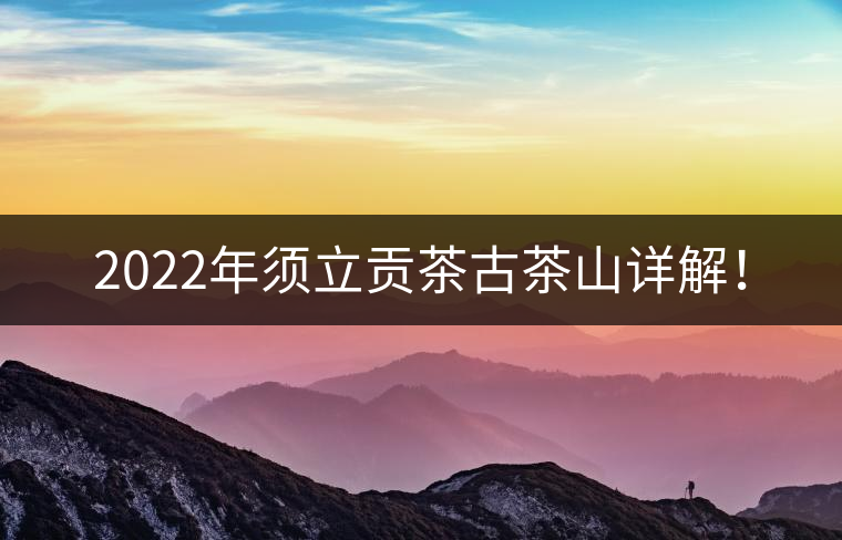 2022年須立貢茶古茶山詳解! 2022年須立貢茶古茶山詳解!