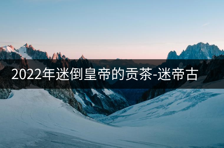2022年迷倒皇帝的貢茶-迷帝古樹春茶特點？