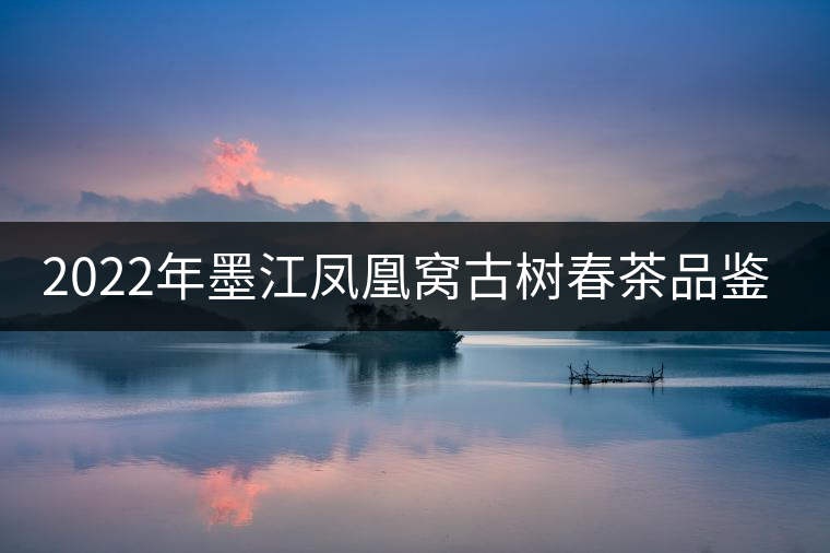 2022年墨江鳳凰窩古樹春茶品鑒實錄! 2022年墨江鳳凰窩古樹春茶品鑒實錄!