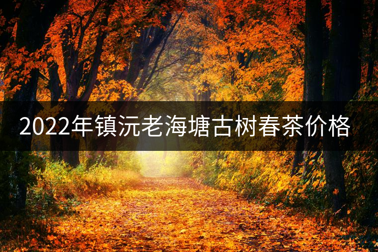 2022年鎮沅老海塘古樹春茶價格? 2022年鎮沅老海塘古樹春茶價格?