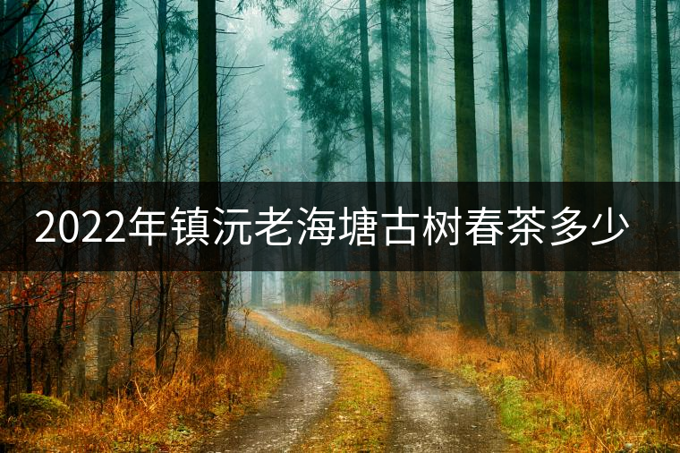 2022年鎮沅老海塘古樹春茶多少錢一公斤?