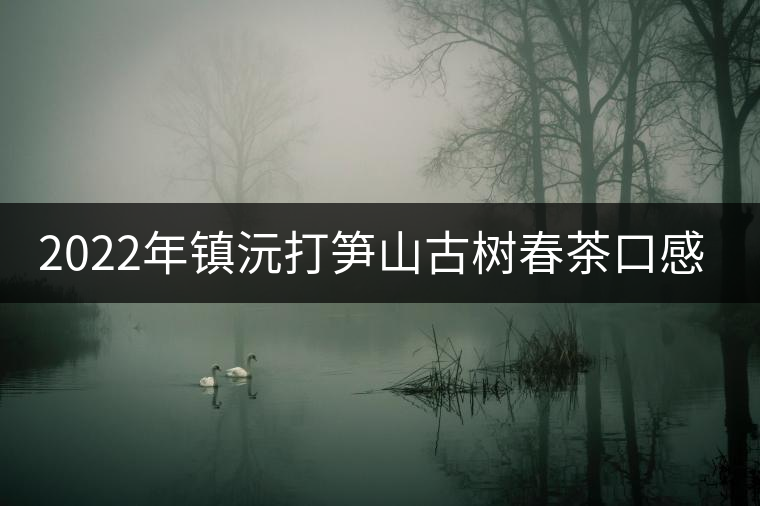 2022年鎮沅打筍山古樹春茶口感? 2022年鎮沅打筍山古樹春茶口感?