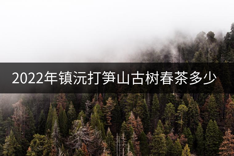 2022年鎮(zhèn)沅打筍山古樹春茶多少錢一公斤? 2022年鎮(zhèn)沅打筍山古樹春茶多少錢一公斤?