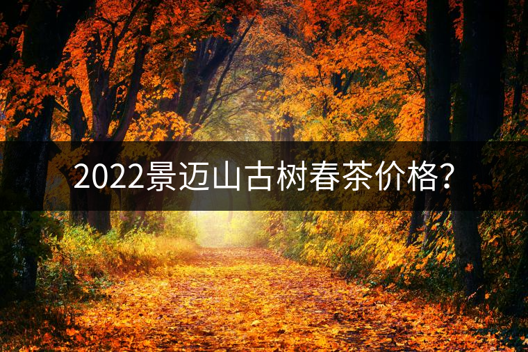 2022景邁山古樹春茶價格？