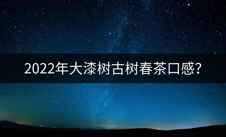 2022年大漆樹古樹春茶口感? 2022年大漆樹古樹春茶口感?