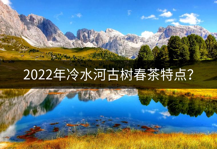 2022年冷水河古樹春茶特點? 2022年冷水河古樹春茶特點?