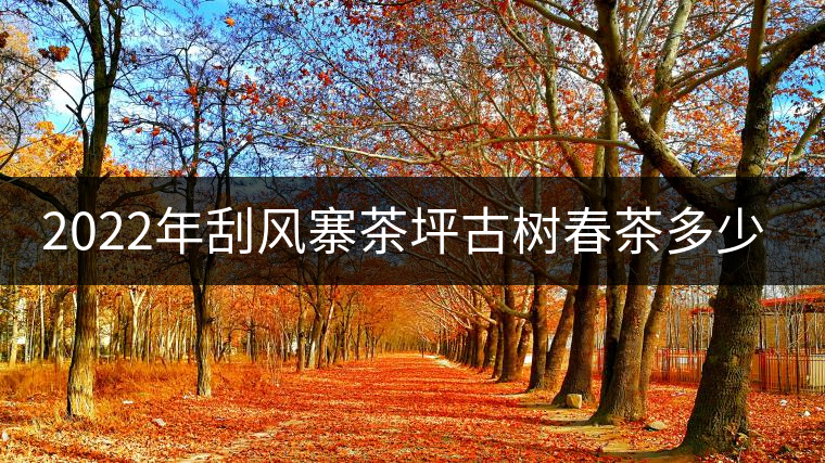 2022年刮風寨茶坪古樹春茶多少錢一公斤? 2022年刮風寨茶坪古樹春茶多少錢一公斤?