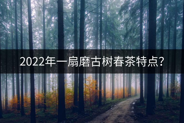 2022年一扇磨古樹春茶特點? 2022年一扇磨古樹春茶特點?