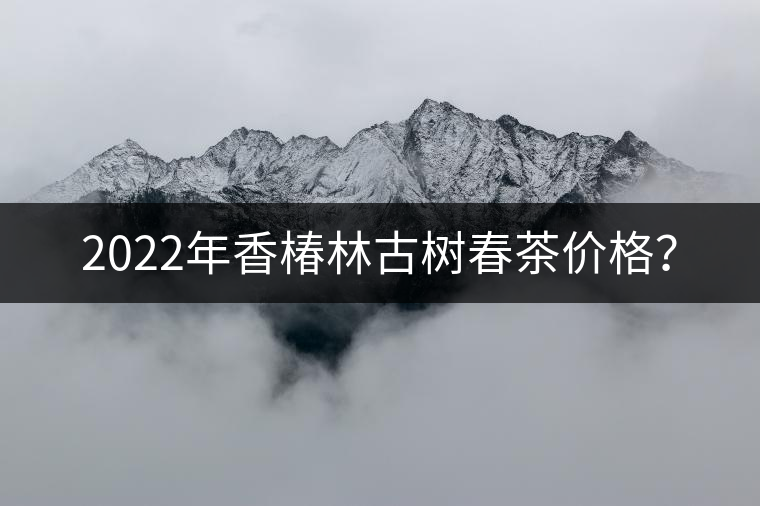2022年香椿林古樹春茶價格？