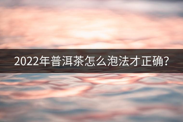 2022年普洱茶怎么泡法才正確? 2022年普洱茶怎么泡法才正確?