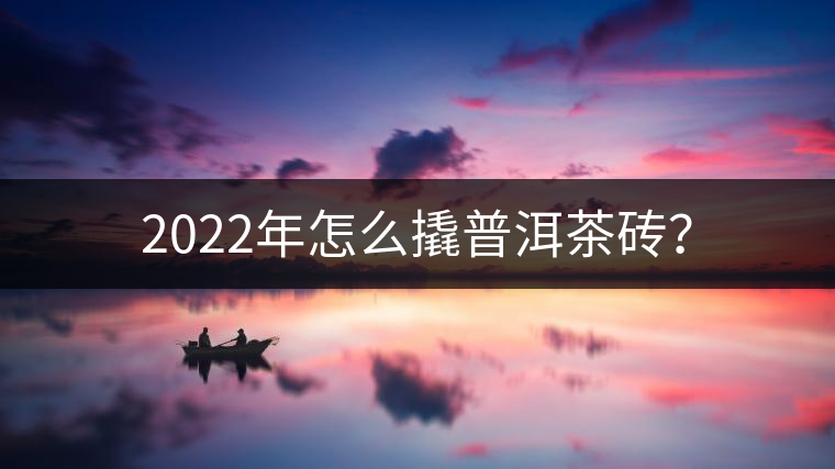 2022年怎么撬普洱茶磚？