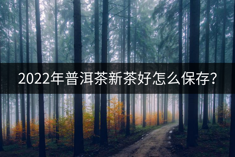 2022年普洱茶新茶好怎么保存？