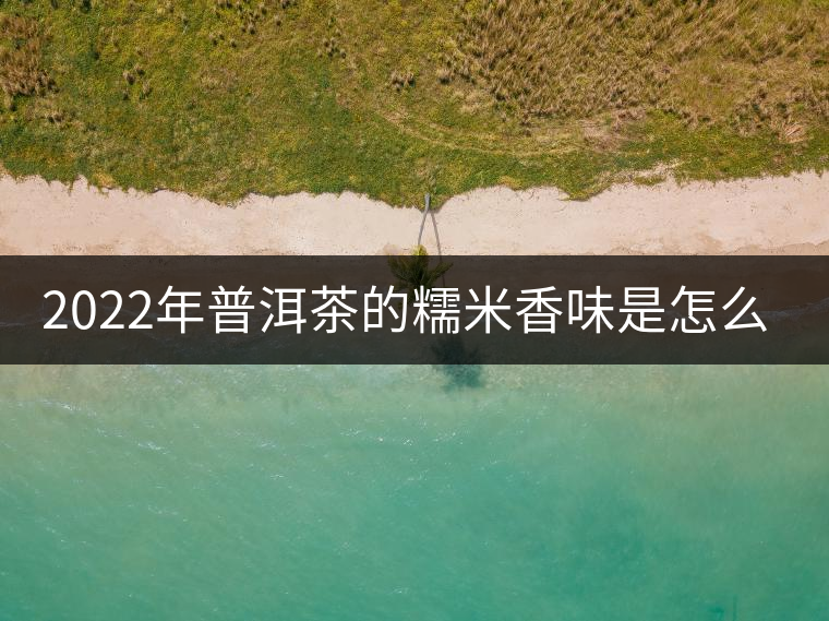 2022年普洱茶的糯米香味是怎么來的? 2022年普洱茶的糯米香味是怎么來的?
