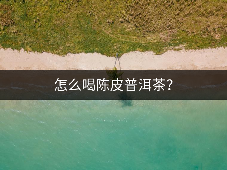 怎么喝陳皮普洱茶? 怎么喝陳皮普洱茶?