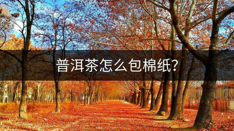 普洱茶怎么包棉紙? 普洱茶怎么包棉紙?