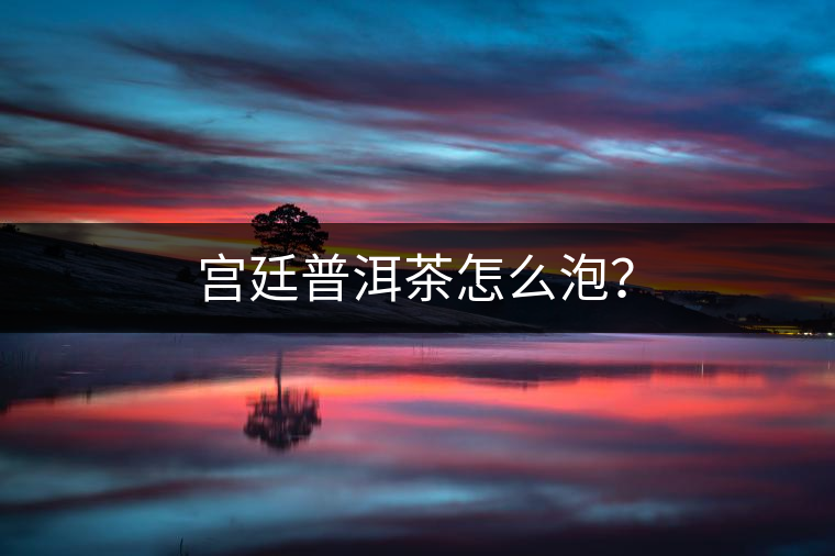 宮廷普洱茶怎么泡? 宮廷普洱茶怎么泡?