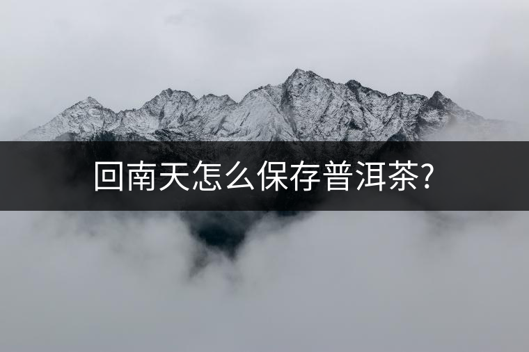 回南天怎么保存普洱茶? 回南天怎么保存普洱茶?
