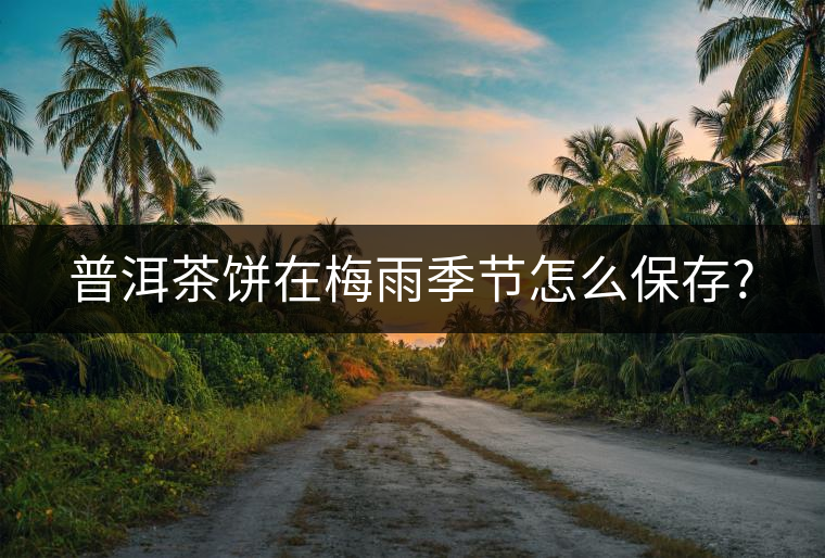 普洱茶餅在梅雨季節怎么保存?