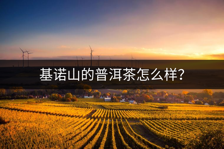 基諾山的普洱茶怎么樣? 基諾山的普洱茶怎么樣?