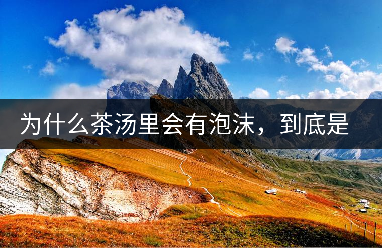為什么茶湯里會有泡沫,到底是怎么回事? 為什么茶湯里會有泡沫,到底是怎么回事?