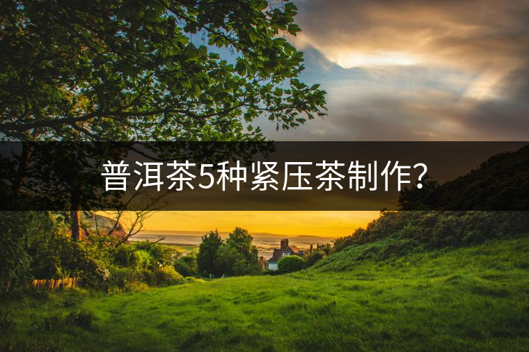 普洱茶5種緊壓茶制作? 普洱茶5種緊壓茶制作?