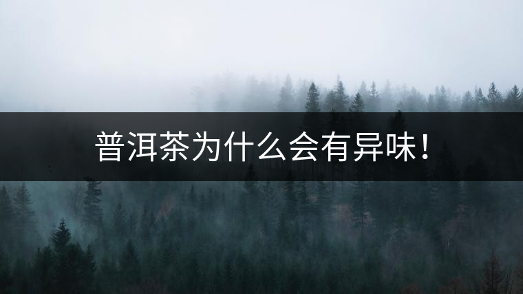 普洱茶為什么會有異味! 普洱茶為什么會有異味!