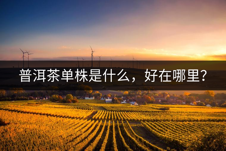 普洱茶單株是什么,好在哪里? 普洱茶單株是什么,好在哪里?