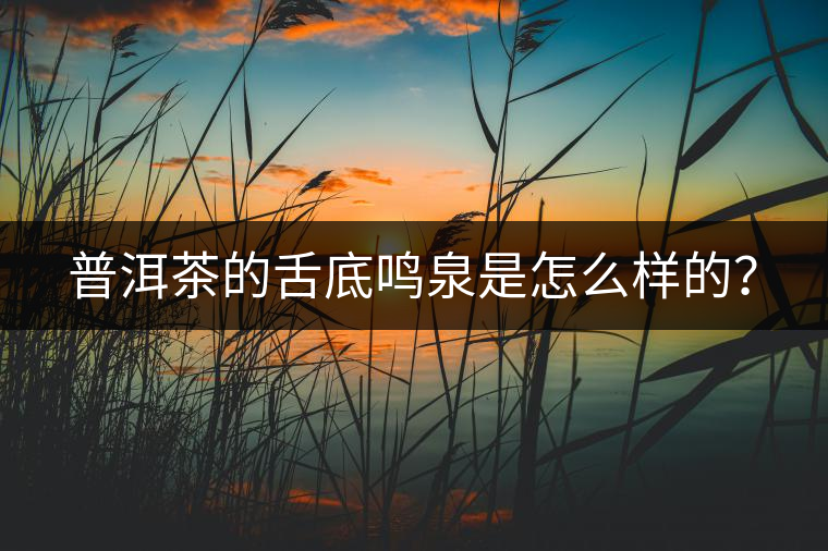 普洱茶的舌底鳴泉是怎么樣的? 普洱茶的舌底鳴泉是怎么樣的?