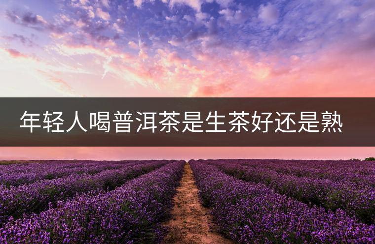 年輕人喝普洱茶是生茶好還是熟茶好?該怎么選擇? 年輕人喝普洱茶是生茶好還是熟茶好?該怎么選擇?