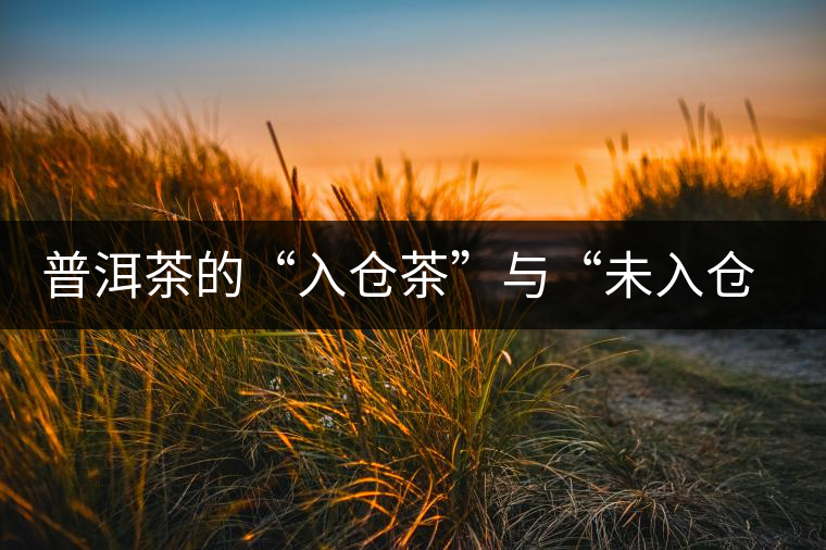 普洱茶的“入倉茶”與“未入倉茶”如何區分,你造嗎? 普洱茶的“入倉茶”與“未入倉茶”如何區分,你造嗎?