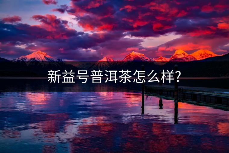 新益號普洱茶怎么樣?