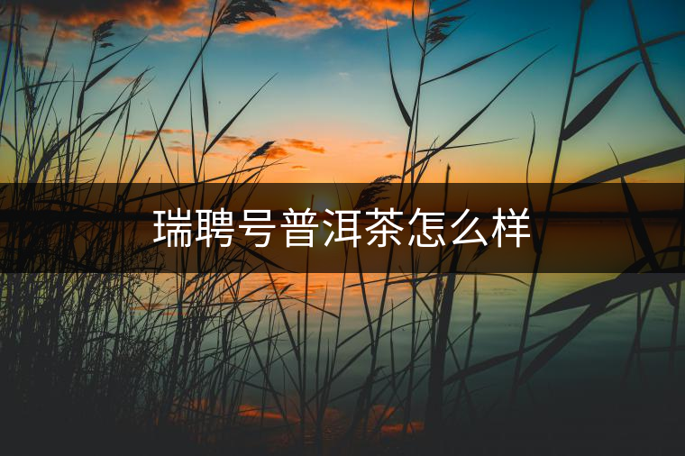 瑞聘號普洱茶怎么樣 瑞聘號普洱茶怎么樣