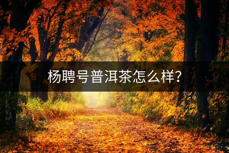 楊聘號普洱茶怎么樣? 楊聘號普洱茶怎么樣?