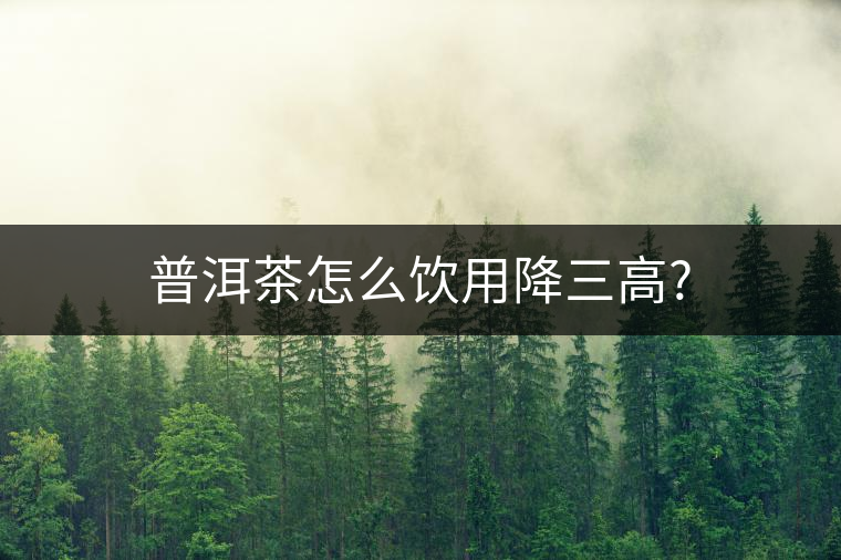 普洱茶怎么飲用降三高? 普洱茶怎么飲用降三高?
