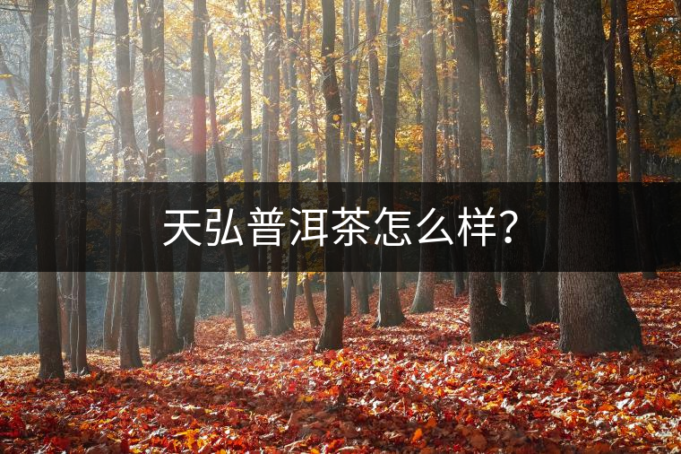 天弘普洱茶怎么樣? 天弘普洱茶怎么樣?