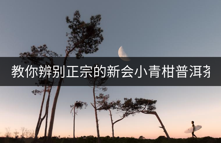 教你辨別正宗的新會小青柑普洱茶? 教你辨別正宗的新會小青柑普洱茶?