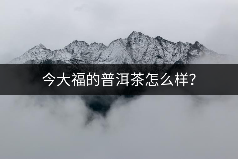 今大福的普洱茶怎么樣? 今大福的普洱茶怎么樣?