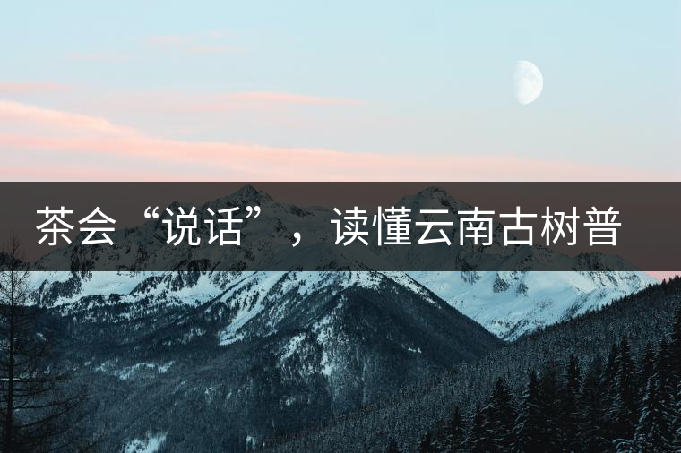 茶會“說話”,讀懂云南古樹普洱茶的秘訣 茶會“說話”,讀懂云南古樹普洱茶的秘訣