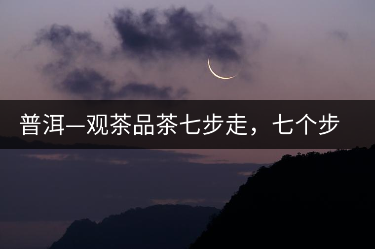 普洱—觀茶品茶七步走，七個步驟，喝懂普洱茶